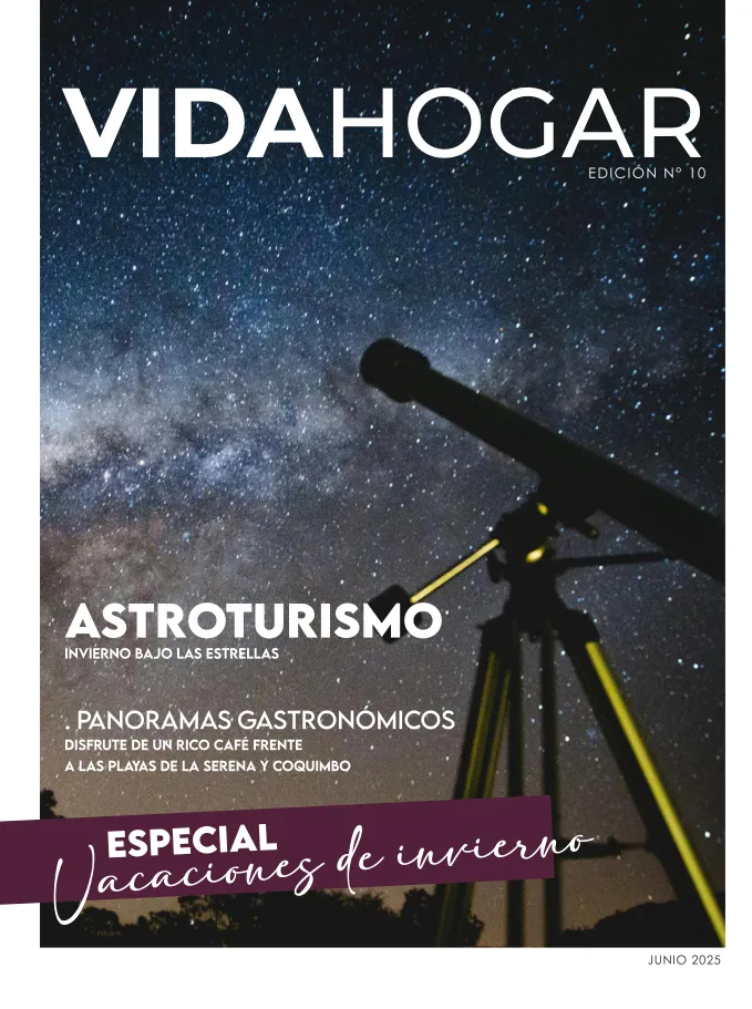 Diario el Dia