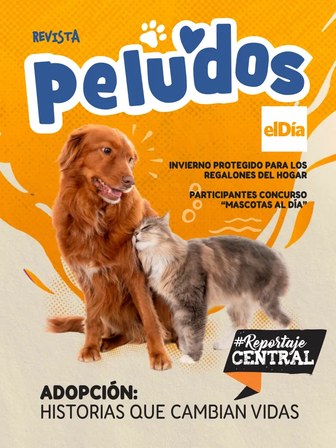 Edicion Especial