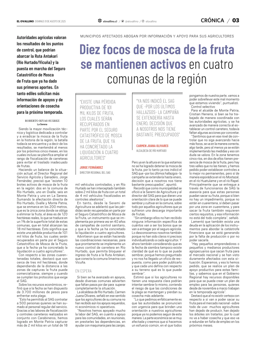 Página 3