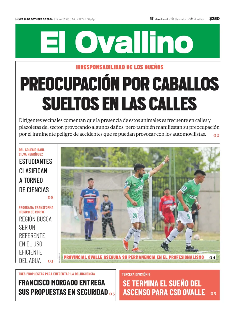 El Ovallino